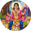 ayyappan mantra song aarti app with lyrics APK