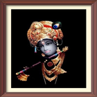 yamunaji ni stuti mantra audio icono