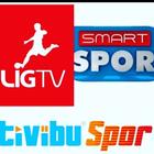 TV İZLE - BÜTÜN TV KANALLARI MEVCUT أيقونة