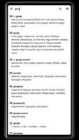 Hungarian Dictionary-poster