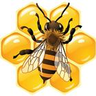 Beekeeping: Information in you icon