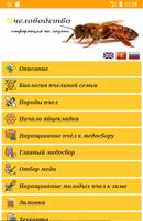Beekeeping: Information in you poster