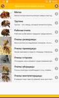 Beekeeping: Information in you screenshot 2