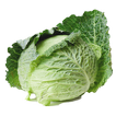 Cabbage from A to Z