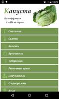 Cabbage from A to Z poster