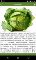 Cabbage from A to Z screenshot 1