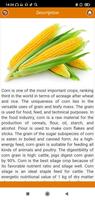 برنامه‌نما Кукуруза: от «А» до «Я» عکس از صفحه