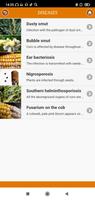 برنامه‌نما Кукуруза: от «А» до «Я» عکس از صفحه