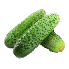 Cucumber: from "A" to "Z" icon