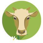 Крупный рогатый скот ikona