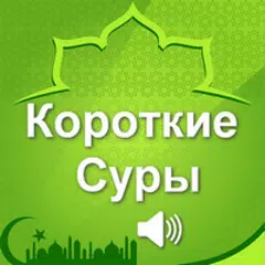 Короткие суры Корана APK download