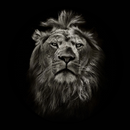 Великие слова APK