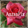 AnzanFix