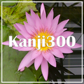Kanji300