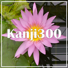 Kanji300 ícone