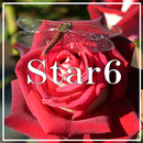 Star6 APK