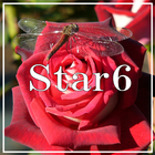 Star6 biểu tượng