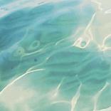 Sounds of sea and forest - Sounds for relaxation