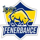 Fenerbahce Marsları APK