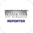 AKINSOFT Wolvox Reporter 2 aplikacja