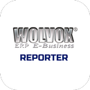 AKINSOFT Wolvox Reporter 2 APK