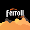 Ferroli Gold APK
