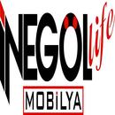 İnegöl Life APK
