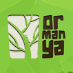 Ormanya