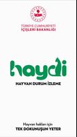 Poster HAYDİ