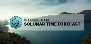 Solunar Time Forecast