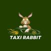 Taxi Rabbit Conductor APK