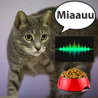 Cat translator icon