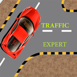 Traffic expert
