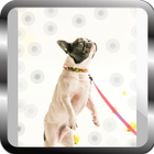 tips for training puppies icon