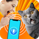 Penterjemah manusia ke kucing APK