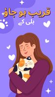 انسان سے بلی کا مترجم پوسٹر