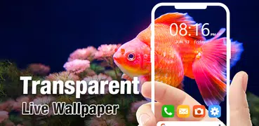 Transparent - Live Wallpapers