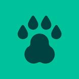 Mowgli - Flight deals