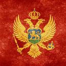Русско-черногорский разговорни APK