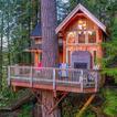 Tree House Design