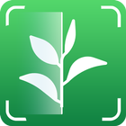 Plant and Tree Identification icon