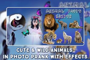 Animal Photo Frame : Wild Life Photo Editor poster