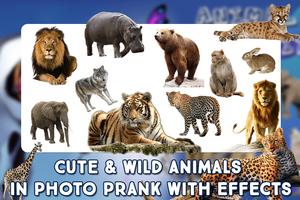 Animal Photo Frame : Wild Life Photo Editor screenshot 1