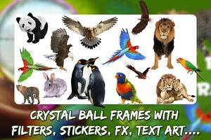Cristal Ball Photo Frame Editor- Crystal Frames imagem de tela 1