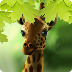 Giraffe HD Parallax Live Wallpaper Free icône