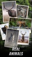 Trophy Hunter poster