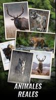 Trophy Hunter Poster