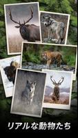 Trophy Hunter ポスター