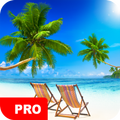 Тропические обои PRO