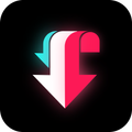 Video Downloader For Tik